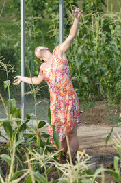 Terra-kotta Terra-kotta